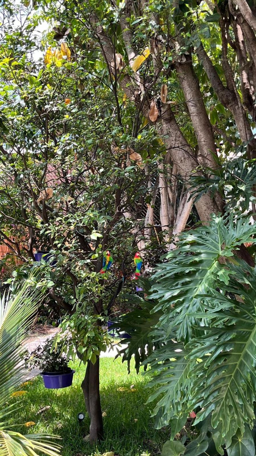 Apartamento Casa Calnacazco Tepoztlán Exterior foto